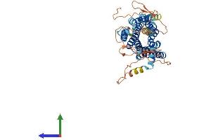 AlphaFold protein structure predicition of Mouse Recombinant Adra1a Protein, UniprotID P97718 (alpha 1 Adrenergic Receptor Protein (AA 1-466) (His tag))