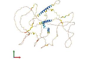 AlphaFold protein structure predicition of Mouse Recombinant Slain1 Protein, UniprotID Q68FF7 (SLAIN1 Protein (AA 1-579) (His tag))