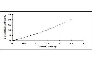 Typical standard curve (KIF5A ELISA Kit)