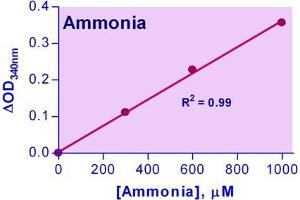 Biochemical Assay (BCA) image for Ammonia Assay Kit (ABIN1000323) (Ammonia Assay Kit)
