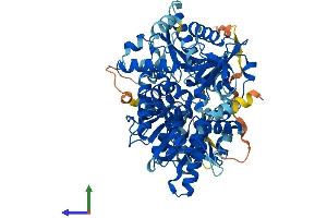 AlphaFold protein structure predicition of Human Recombinant DHX33 Protein, UniprotID Q9H6R0 (DHX33 Protein (AA 1-707) (His tag))