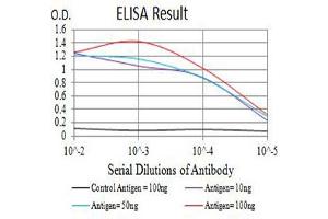 Black line: Control Antigen (100 ng),Purple line: Antigen (10 ng), Blue line: Antigen (50 ng), Red line:Antigen (100 ng) (BTN2A2 antibody  (AA 57-237))