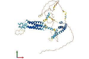 AlphaFold protein structure predicition of Human Recombinant MARVELD2 Protein, UniprotID Q8N4S9 (Tricellulin Protein (MARVELD2) (AA 1-558) (His tag))