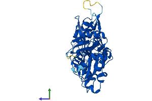 AlphaFold protein structure predicition of Human Recombinant ACTB Protein, UniprotID P60709 (beta Actin Protein (AA 1-375) (His tag))