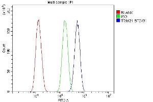 Flow Cytometry analysis of SiHa cells using anti-TRIM21/SS-A antibody (ABIN7599820). (TRIM21 antibody  (AA 12-475))