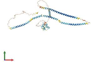 Protein Structure (PS) image for EF-hand calcium binding domain 14 (EFCAB14) (AA 1-495) protein (His tag) (ABIN7547273)