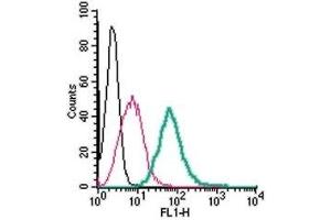 Cell surface detection of Adenosine A2A Receptor by direct flow cytometry in live intact mouse J774 macrophage cells: (black line) Cells. (Adenosine A2a Receptor antibody  (Extracellular) (FITC))