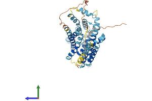 AlphaFold protein structure predicition of Mouse Recombinant Slc35f3 Protein, UniprotID Q1LZI2
