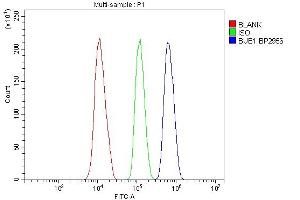Flow Cytometry analysis of HEPA1-6 cells using anti-Bub1 antibody (ABIN7601640).