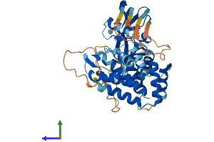 AlphaFold protein structure predicition of Mouse Recombinant Gsdmc Protein, UniprotID Q99NB5