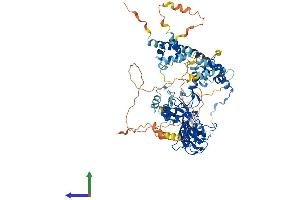 AlphaFold protein structure predicition of Human Recombinant EZH2 Protein, UniprotID Q15910 (EZH2 Protein (AA 1-746) (His tag))
