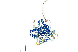 Protein Structure (PS) image for Tubulin tyrosine Ligase-Like Family, Member 9 (TTLL9) (AA 1-439) protein (His tag) (ABIN7544887)