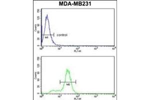 KRT14 Antibody (Center) (ABIN390669 and ABIN2840963) flow cytometry analysis of MDA-M cells (bottom histogram) compared to a negative control cell (top histogram). (KRT14 antibody  (AA 276-303))