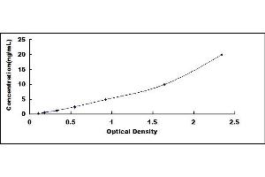 Typical standard curve (ESR2 ELISA Kit)