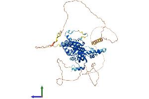Protein Structure (PS) image for Homolog of Yeast RecQ-mediated Genome Instability 1 (RMI1) (AA 1-625) protein (His tag) (ABIN7555245)