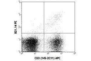 Flow Cytometry (FACS) image for anti-V alpha 8.3 TCR antibody (PE) (ABIN2663911) (V alpha 8.3 TCR antibody (PE))