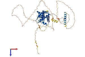 AlphaFold protein structure predicition of Mouse Recombinant Ccdc82 Protein, UniprotID Q6PG04 (CCDC82 Protein (AA 1-518) (His tag))