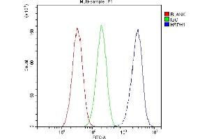Flow Cytometry analysis of HepG2 cells using anti-Hsp105 antibody (ABIN5693036).