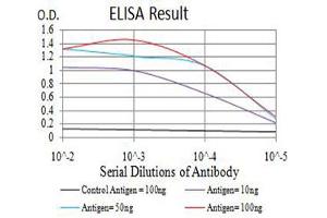 Black line: Control Antigen (100 ng),Purple line: Antigen (10 ng), Blue line: Antigen (50 ng), Red line:Antigen (100 ng) (ATG7 antibody  (AA 558-703))