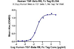 Immobilized Human Mature TGF beta 1 at 0. (TGFBR2 Protein (AA 24-159) (Fc Tag))