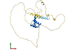 Protein Structure (PS) image for Orthopedia Homeobox (OTP) (AA 1-325) protein (His tag) (ABIN7562251)