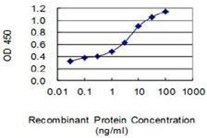 Detection limit for recombinant GST tagged CXCL2 is 0. (CXCL2 antibody  (AA 1-100))