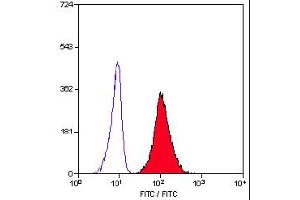 Staining of human peripheral blood granulocytes with Mouse anti Human CD11b (ABIN118516). (CD11b antibody)