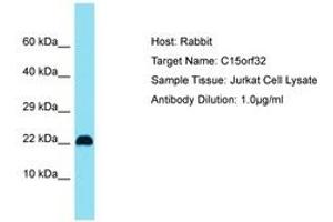 Image no. 1 for anti-Chromosome 15 Open Reading Frame 32 (C15ORF32) (AA 28-77) antibody (ABIN6750761) (C15ORF32 antibody  (AA 28-77))