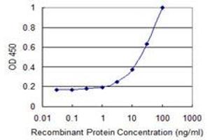 Detection limit for recombinant GST tagged FERMT2 is 1 ng/ml as a capture antibody. (FERMT2 antibody  (AA 1-680))