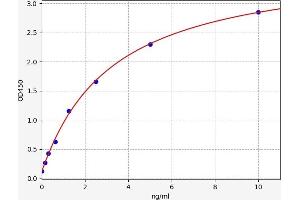 CBX3 ELISA Kit