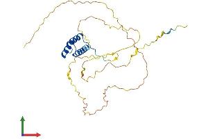 AlphaFold protein structure predicition of Mouse Recombinant Dlx3 Protein, UniprotID Q64205 (DLX3 Protein (AA 1-287) (His tag))