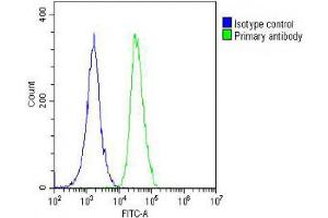 Overlay histogram showing A549 cells stained with (ABIN654062 and ABIN2843960) (green line). (Angiopoietin 2 antibody  (C-Term))