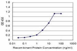 Detection limit for recombinant GST tagged CSRP1 is approximately 0. (CSRP1 antibody  (AA 94-192))