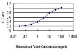 Detection limit for recombinant GST tagged TEK is approximately 0. (TEK antibody  (AA 701-800))