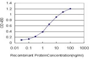 Detection limit for recombinant GST tagged DDX3Y is approximately 0. (DDX3Y antibody  (AA 1-80))