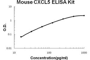 Mouse CXCL5/ENA-78 Accusignal ELISA Kit Mouse CXCL5/ENA-78 AccuSignal ELISA Kit standard  curve. (CXCL5 ELISA Kit)