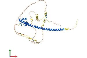 Protein Structure (PS) image for Transcription Factor MafB (MAFB) (AA 1-323) protein (His tag) (ABIN7549173)