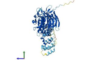 AlphaFold protein structure predicition of Mouse Recombinant Klhl23 Protein, UniprotID Q6GQU2