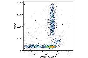 Surface staining of lysed and wash human peripheral blood with purified anti-human CD31 (MEM-05) (detection by Goat anti-mouse IgG1 PE). (CD31 antibody  (Biotin))