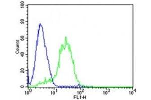 Flow cytometric analysis of HepG2 cells using DLK1 antibody (green) compared to an isotype control(blue). (DLK1 antibody  (C-Term))