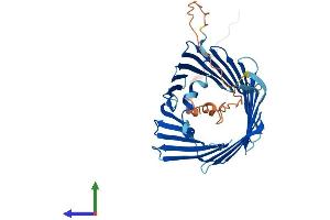AlphaFold protein structure predicition of Human Recombinant TOMM40 Protein, UniprotID O96008 (TOMM40 Protein (AA 1-361) (His tag))