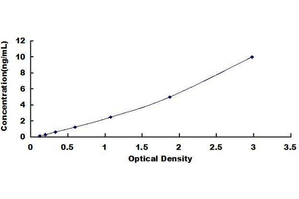 Dystroglycan ELISA Kit