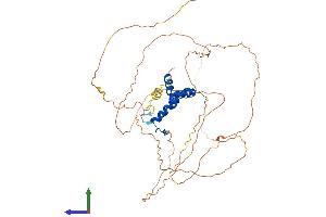 AlphaFold protein structure predicition of Human Recombinant SOX4 Protein, UniprotID Q06945 (SOX4 Protein (AA 1-474) (His tag))