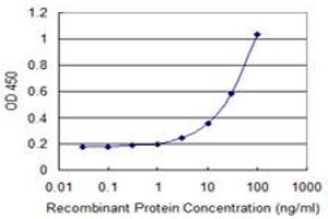 SCGB3A1 antibody  (AA 1-104)