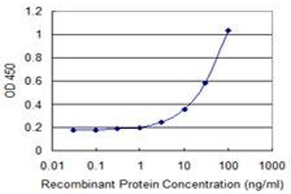 SCGB3A1 antibody  (AA 1-104)