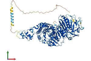 Protein Structure (PS) image for Ectonucleotide Pyrophosphatase/phosphodiesterase 1 (ENPP1) (AA 1-906) protein (His tag) (ABIN7562750)
