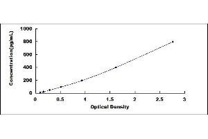 CD46 ELISA Kit