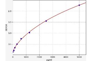 Typical standard curve (WWC1 ELISA Kit)
