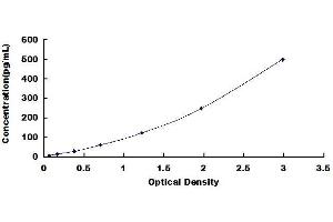 cAMP Responsive Element Binding Protein 1 (CREB1) ELISA Kit