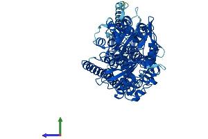 AlphaFold protein structure predicition of Mouse Recombinant Alox12e Protein, UniprotID P55249 (Alox12e Protein (AA 1-662) (His tag))